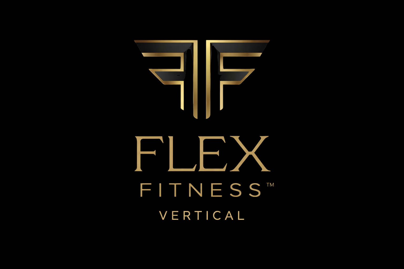 Flex Fitness Vertical logo